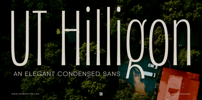 UT Hilligon Font Poster 1