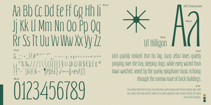 UT Hilligon Font Poster 6