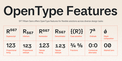 SFT Ritam Sans Font Poster 7