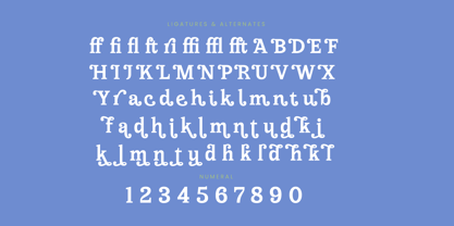 Meridi Rolitud Font Poster 12