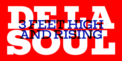 Huemul Slab Font Poster 5