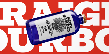 Huemul Slab Font Poster 10