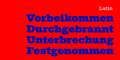 Huemul Slab Font Poster 9