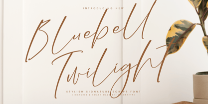 Bluebell Twilight Font Poster 1