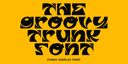 Groovy Trunk Font Poster 1