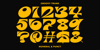 Groovy Trunk Font Poster 4