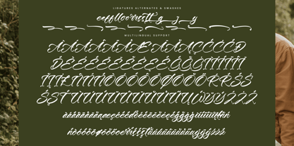 Dusking Ballerin Font Poster 14