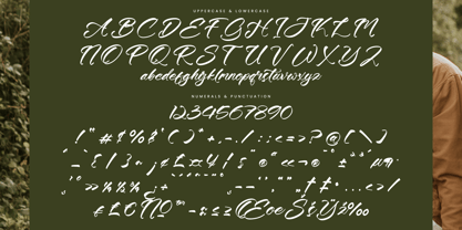 Dusking Ballerin Font Poster 13