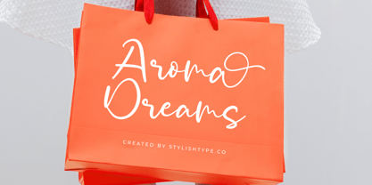 Pintor Belsam Font Poster 5