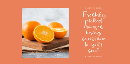 Pintor Belsam Font Poster 10