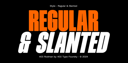 403 Rodman Font Poster 2