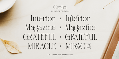 Crolia Font Poster 9