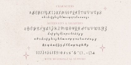 Wedding Letter Font Poster 8