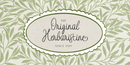 Wedding Letter Font Poster 6