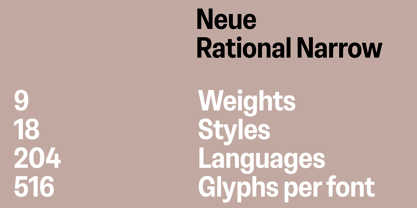 Neue Rational Narrow Police Poster 7