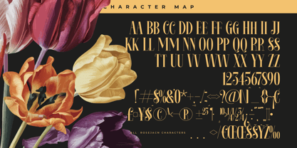 Rosejacn Font Poster 14