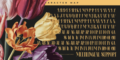 Rosejacn Font Poster 15