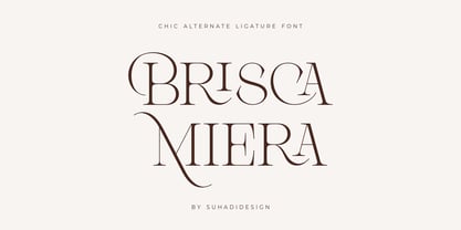 Brisca Miera Font Poster 1