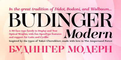 Budinger Modern Font Poster 1