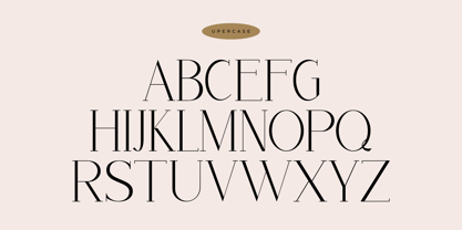 Artomy Font Poster 4