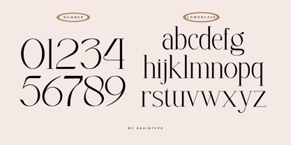 Artomy Font Poster 8