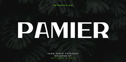 Pamier Font Poster 1