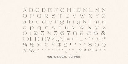 Beauty Entity Font Poster 6