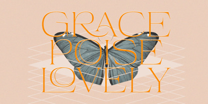 Beauty Entity Font Poster 5