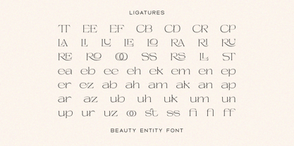 Beauty Entity Font Poster 8