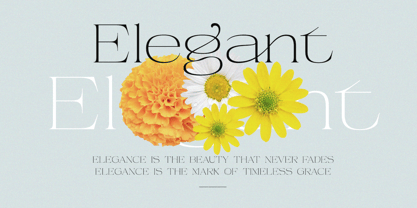 Beauty Entity Font Poster 4