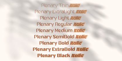 Plenary Font Poster 5