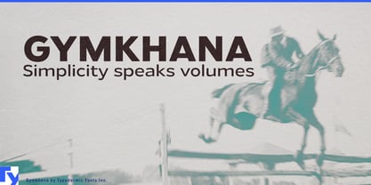 Gymkhana Police Affiche 1