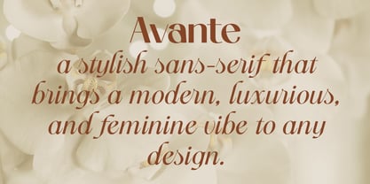 Avante Font Poster 6