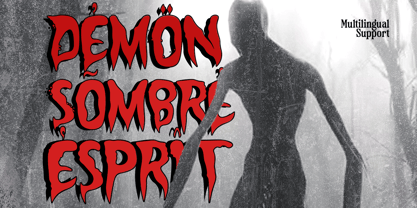 Night Secret Font Poster 11