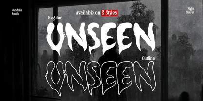 Night Secret Font Poster 9