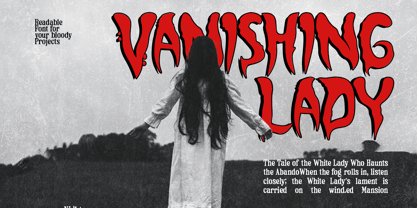 Night Secret Font Poster 8