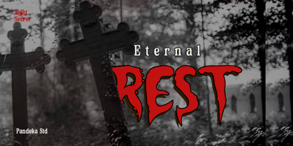 Night Secret Font Poster 3