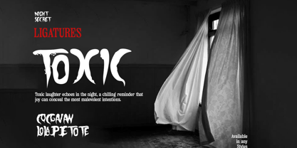 Night Secret Font Poster 10