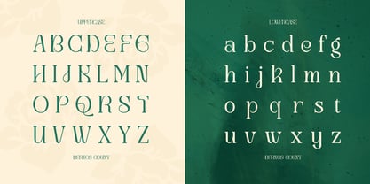 Bernos Count Font Poster 13