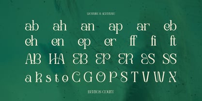 Bernos Count Font Poster 15