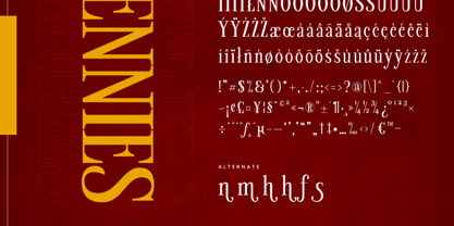 Pennies Font Poster 6