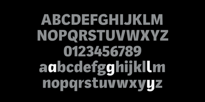 Mynor B Font Poster 4