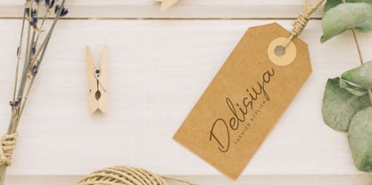 Belysta Font Poster 2