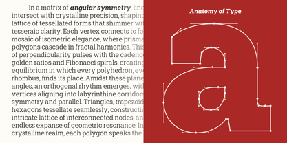 Shemekia Font Poster 4