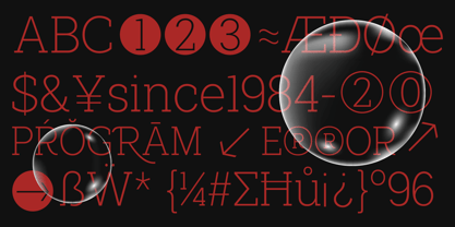 Shemekia Font Poster 11