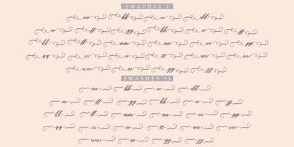 Narissa Script Font Poster 8