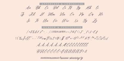 Narissa Script Font Poster 7