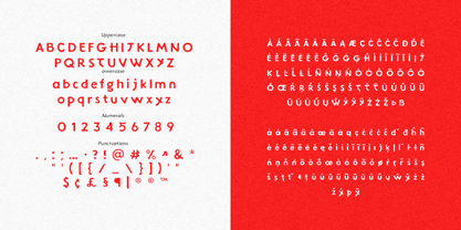 Hoki Font Poster 11