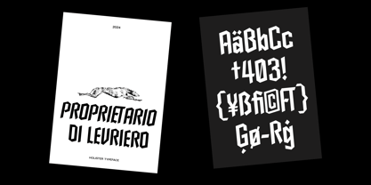 403 Glostier Font Poster 6