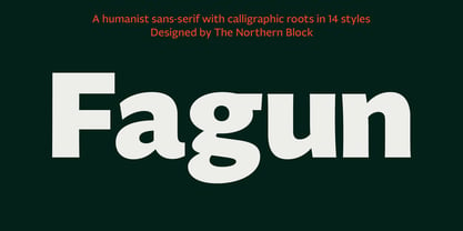 Fagun Font Poster 1